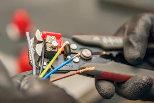 Best Electrician for Home Renovation  in Las Lomas, TX