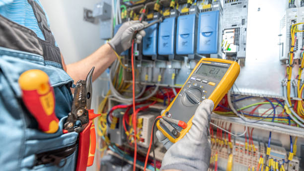 Best Electrical System Inspection  in Las Lomas, TX