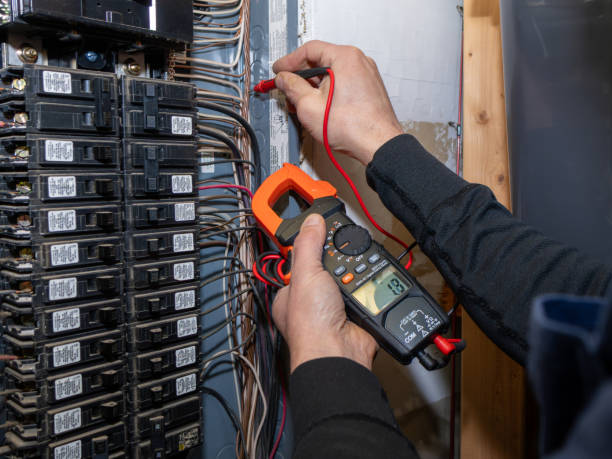 Best Local Electrician Companies  in Las Lomas, TX
